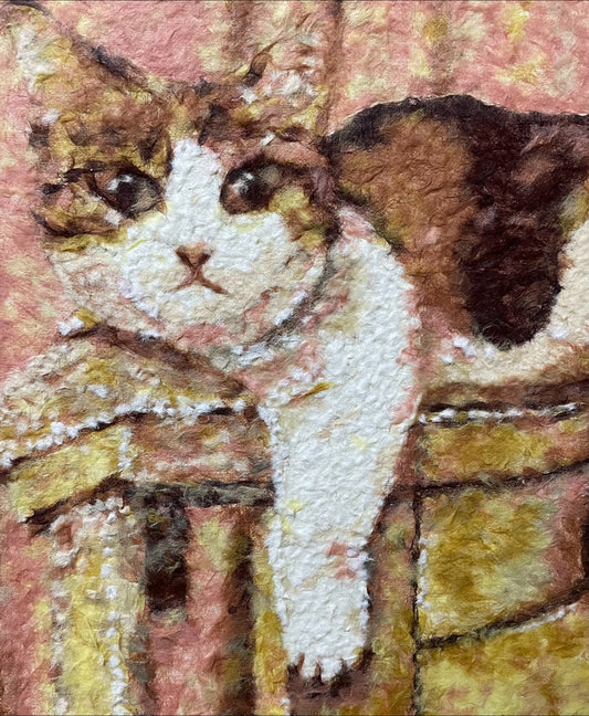 C4 「ベッドでくつろぐタピ」